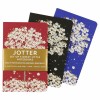 Notatniki JOTTER Falling Blossoms w linię Peter Pauper Press