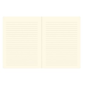 Notatnik Midi Porcelanowe Wazy Peter Pauper Press 160 stron w linię